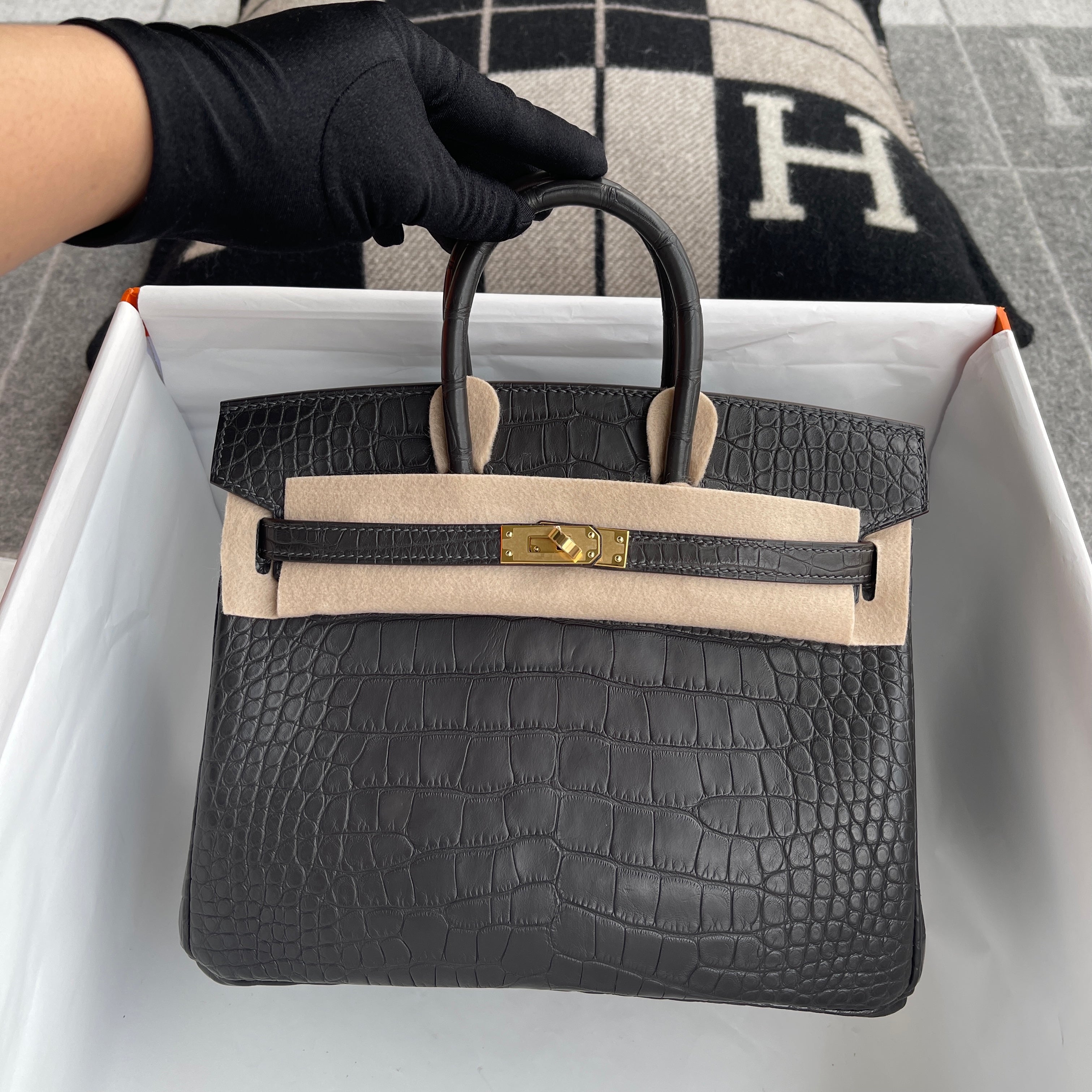 BIRKIN 25 MATTE MISSISSIPPIENSIS ALLIGATOR LEATHER NOIR (BLACK) WITH GOLD HARDWARE (GHW)