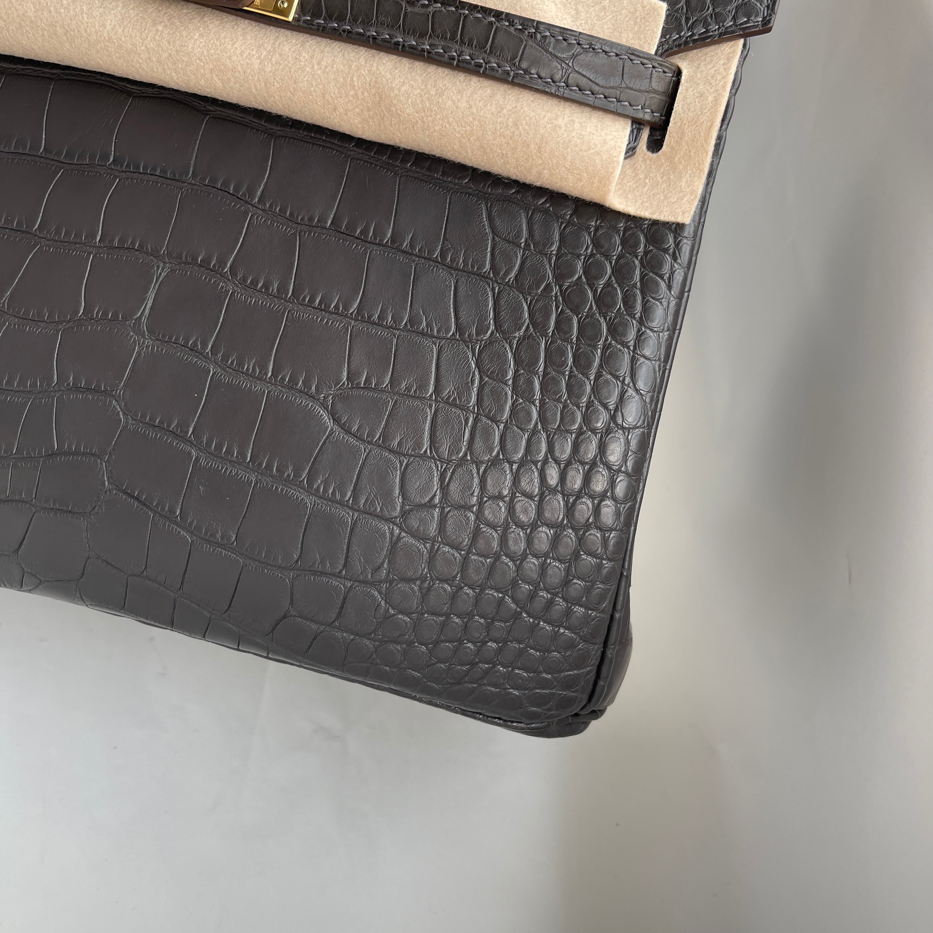 BIRKIN 25 MATTE MISSISSIPPIENSIS ALLIGATOR LEATHER NOIR (BLACK) WITH GOLD HARDWARE (GHW)