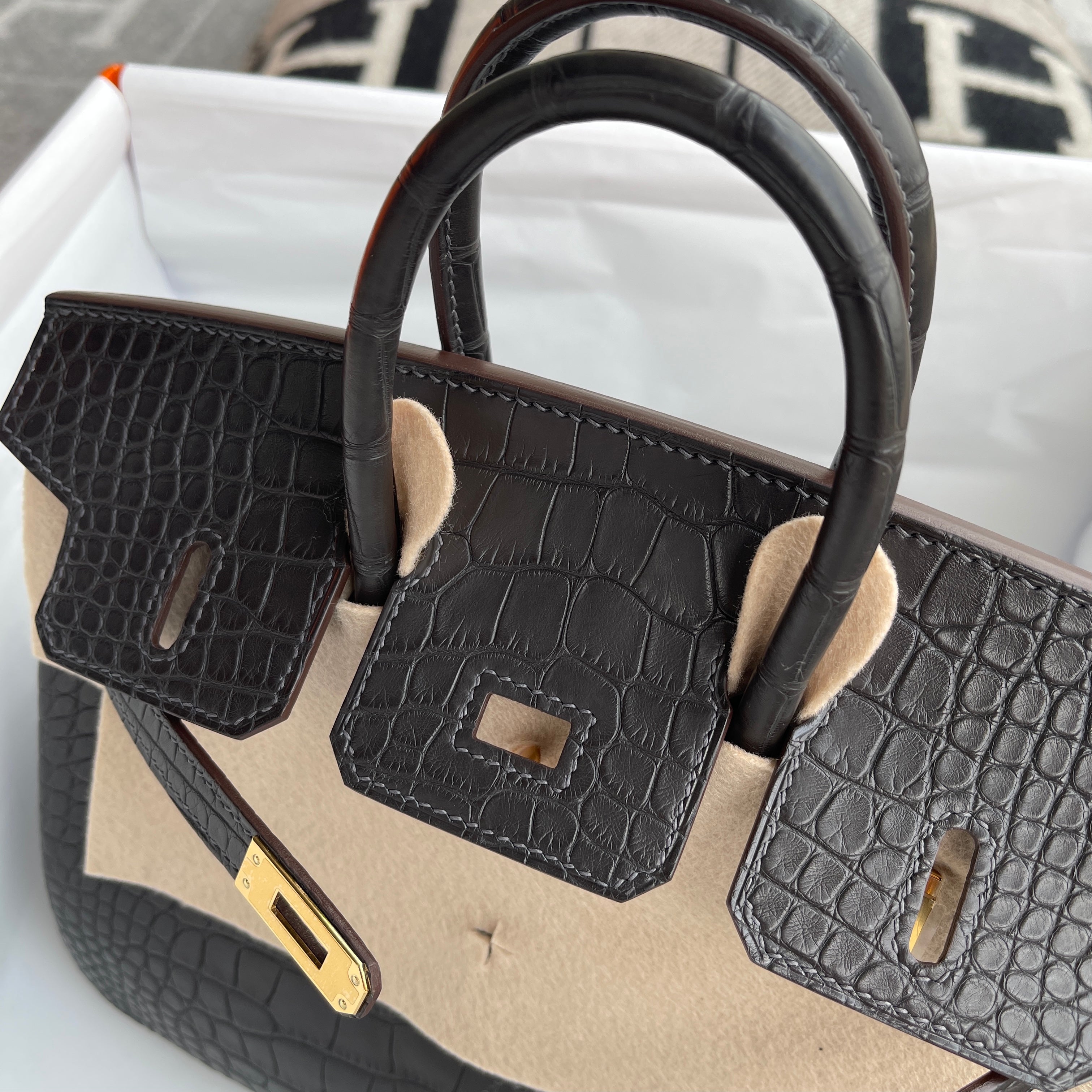 BIRKIN 25 MATTE MISSISSIPPIENSIS ALLIGATOR LEATHER NOIR (BLACK) WITH GOLD HARDWARE (GHW)