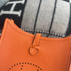 MINI EVELYNE (TPM) CLEMENCE LEATHER ORANGE WITH PALLADIUM HARDWARE (PHW)