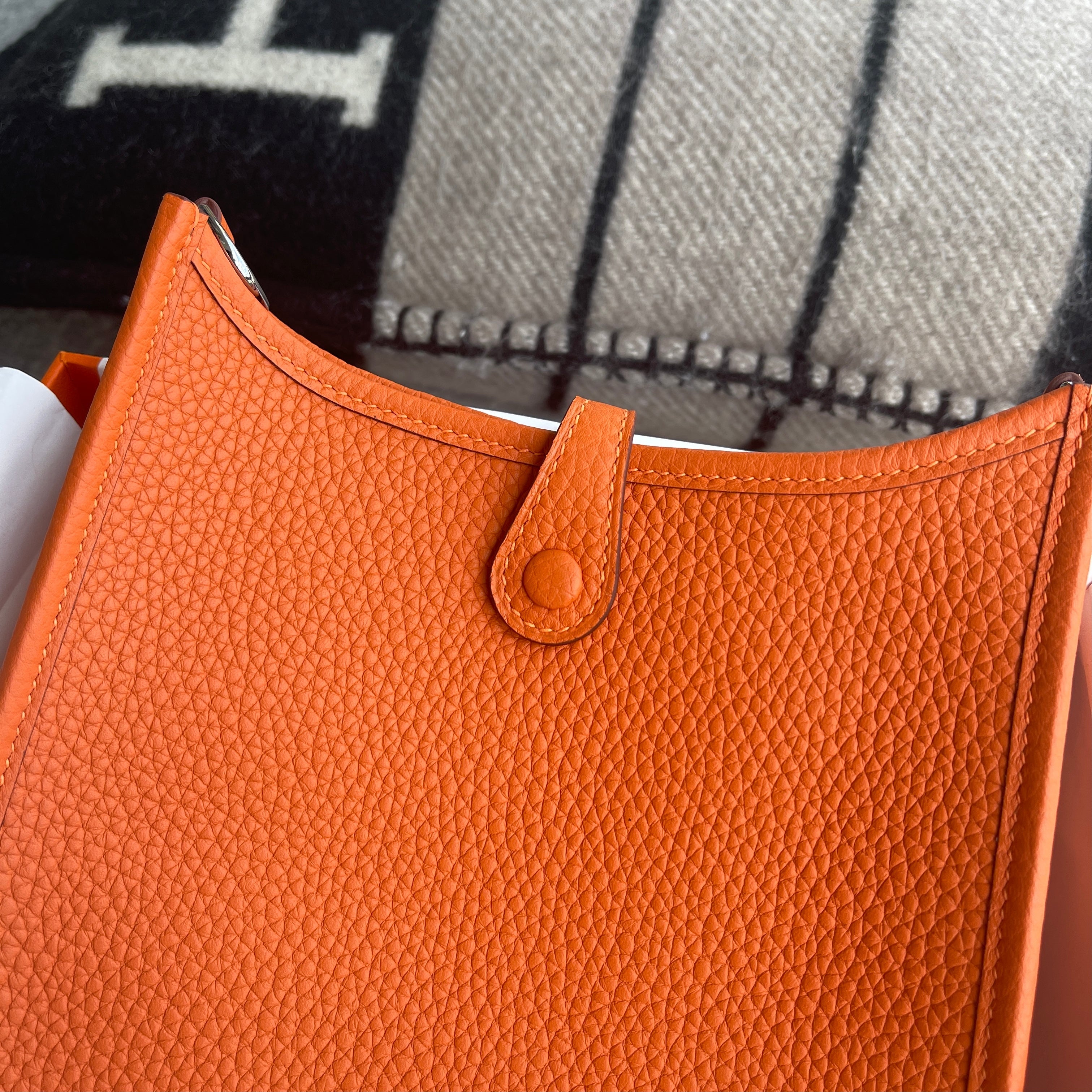 MINI EVELYNE (TPM) CLEMENCE LEATHER ORANGE WITH PALLADIUM HARDWARE (PHW)